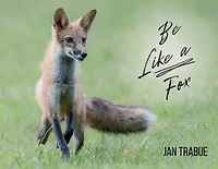 Be Like a Fox