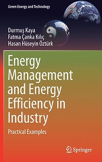 Energy Management and Efficiency Industry: Practical Examples