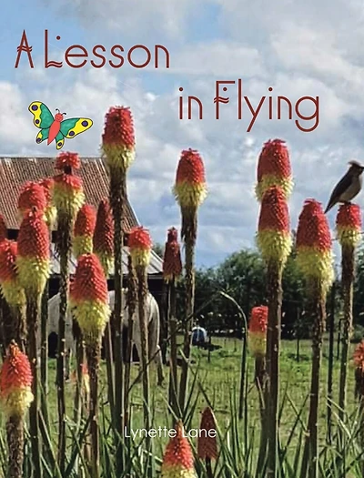 A Lesson in Flying