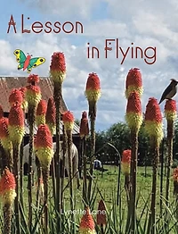 A Lesson in Flying