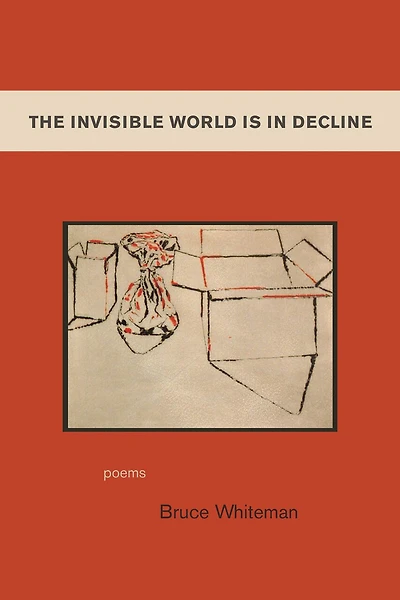 The Invisible World Is In Decline