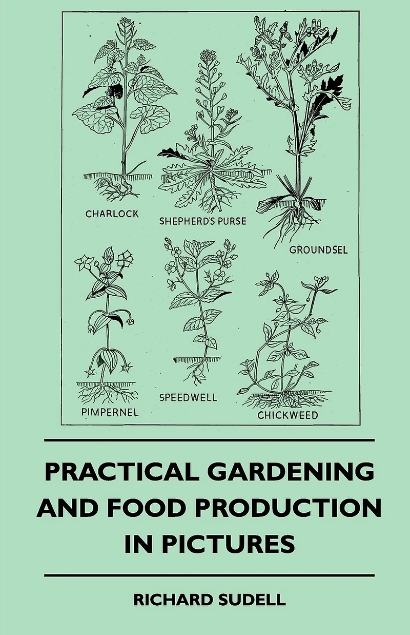 Practical Gardening And Food Production Pictures