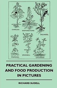 Practical Gardening And Food Production Pictures