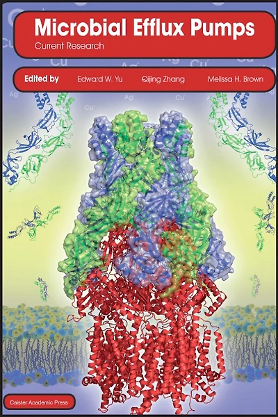 Microbial Efflux Pumps: Current Research