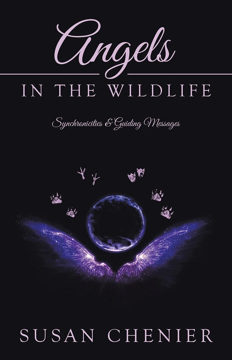 Angels The Wildlife: Synchronicities & Guiding Messages