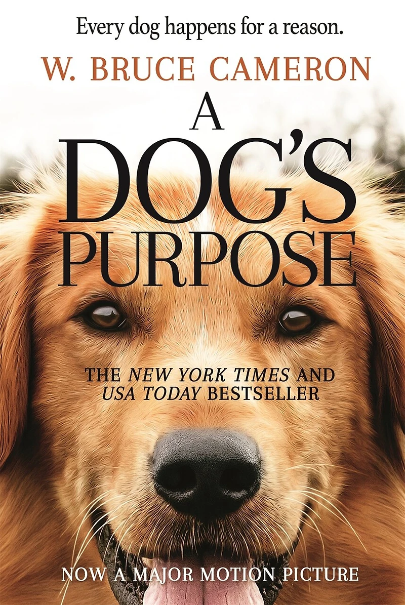A Dog's Purpose: Novel for Humans