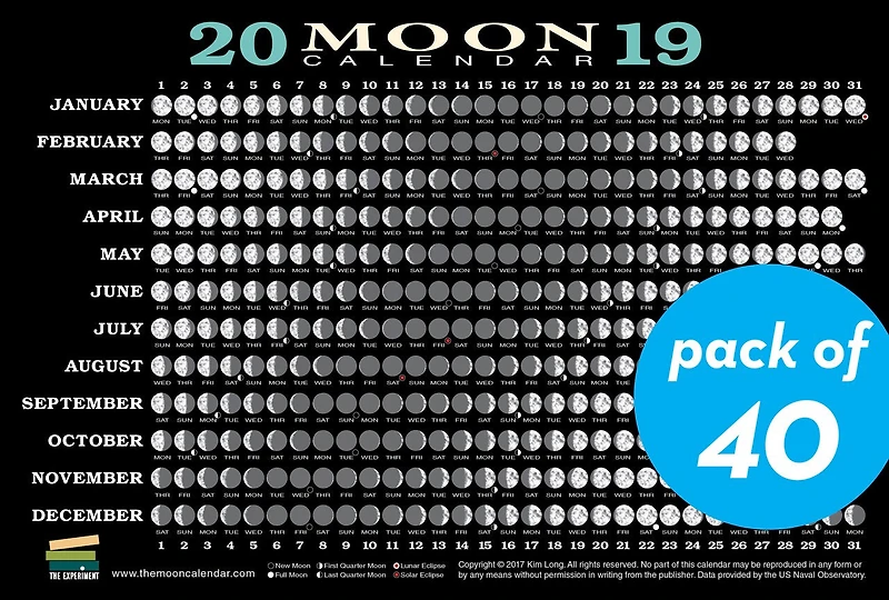 2019 Moon Calendar Card (5 pack): Lunar Phases, Eclipses, and More!