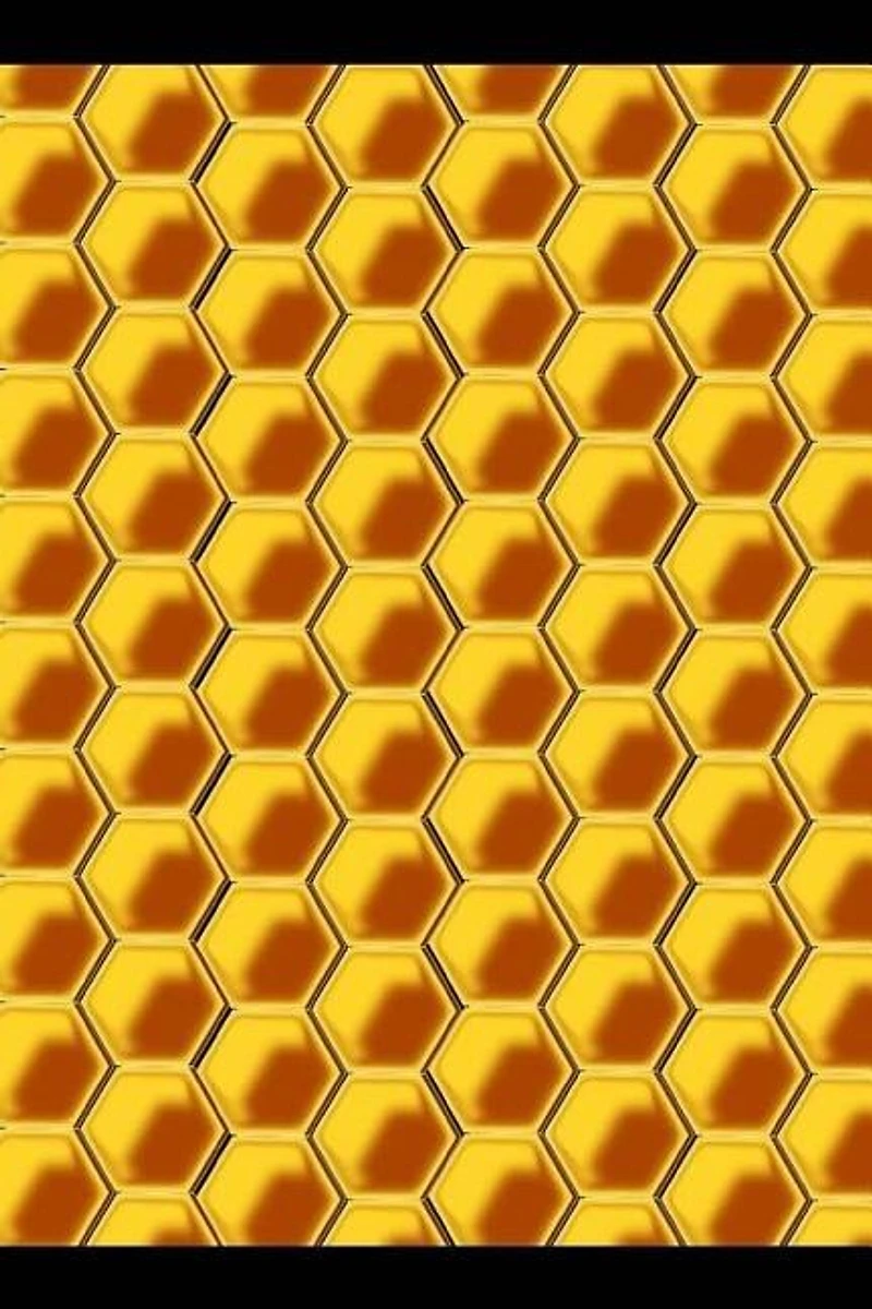 Bee Keeping: Notebook