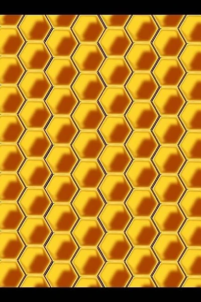 Bee Keeping: Notebook