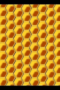 Bee Keeping: Notebook