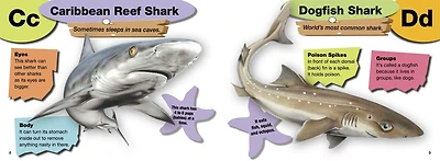A–Z of Sharks: The alphabet of the shark world, from Angel Shark to Zebra Shark