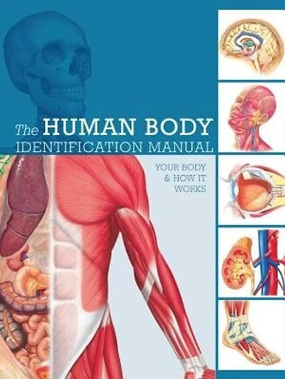 Human Body Identification Manual: Your Body And How It Works