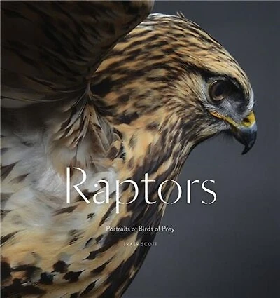 Raptors: Portraits of Birds Prey