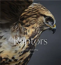 Raptors: Portraits of Birds Prey