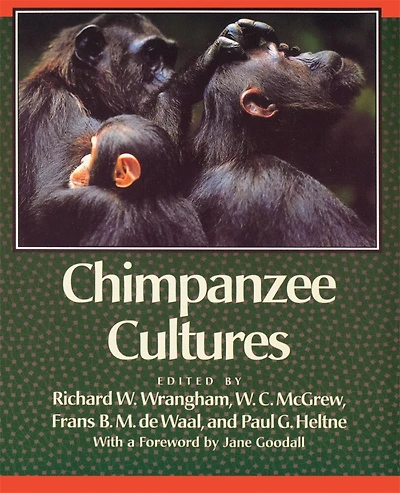 Chimpanzee Cultures