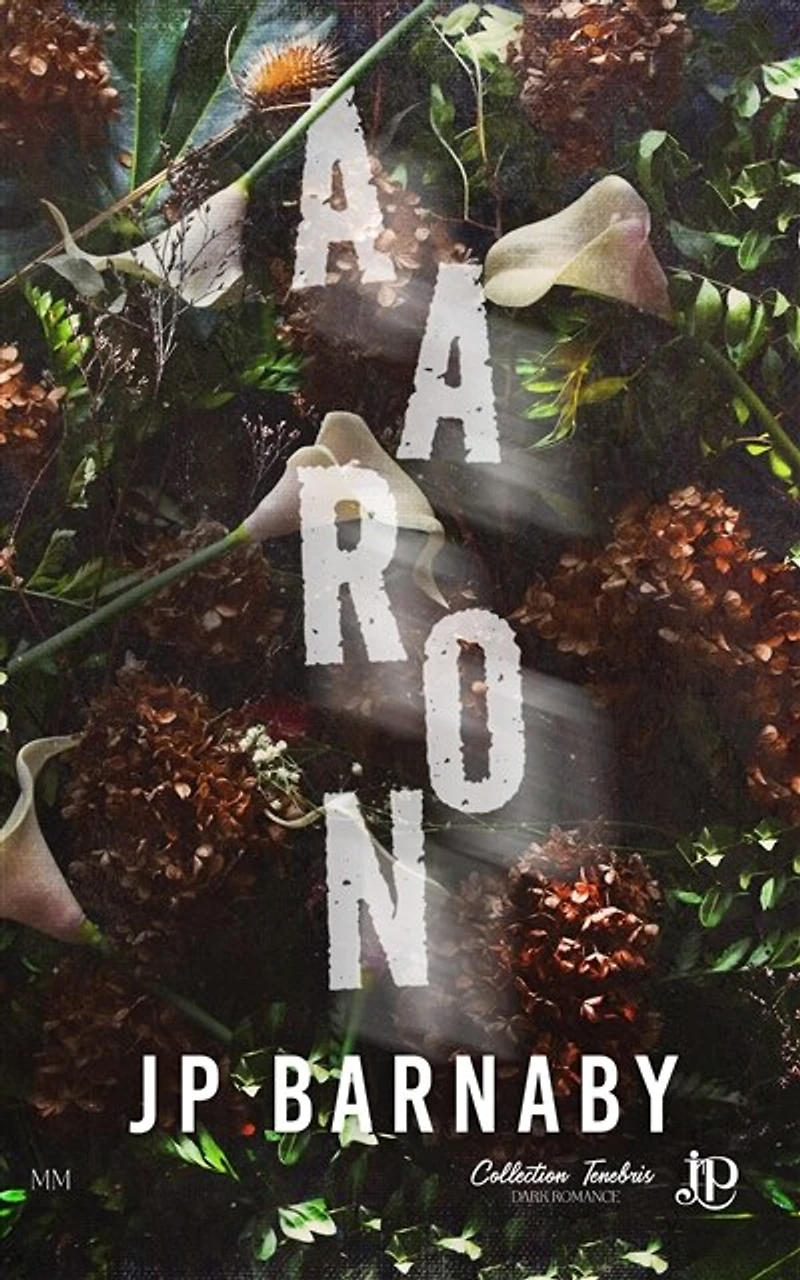 Aaron: Histoire d'un survivant #1