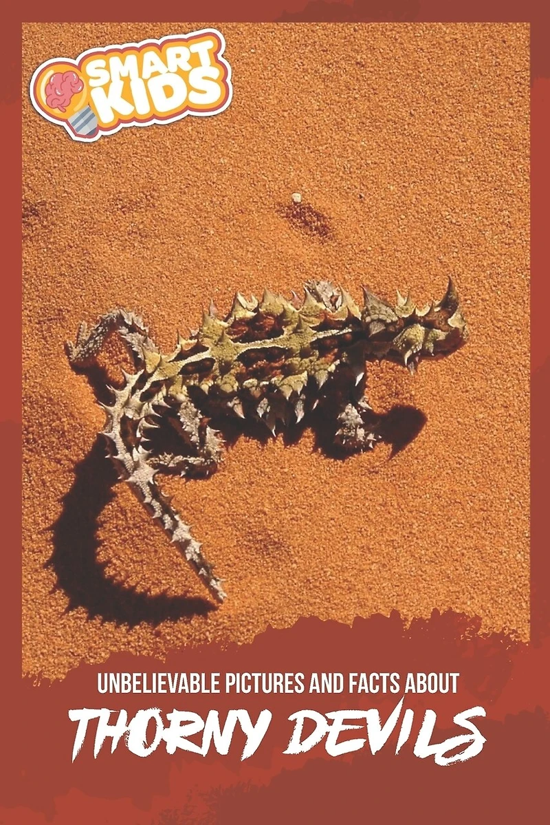 Unbelievable Pictures and Facts About Thorny Devils
