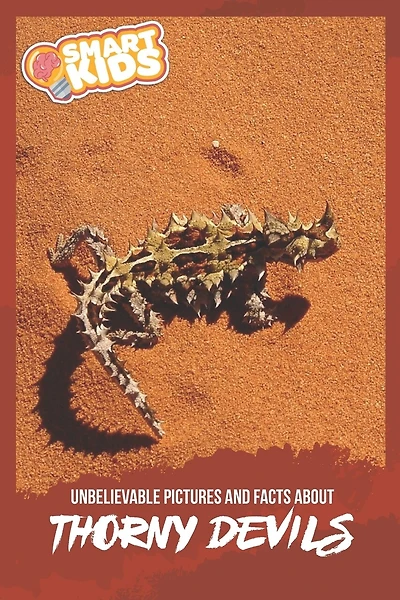 Unbelievable Pictures and Facts About Thorny Devils