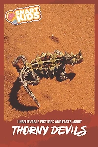 Unbelievable Pictures and Facts About Thorny Devils