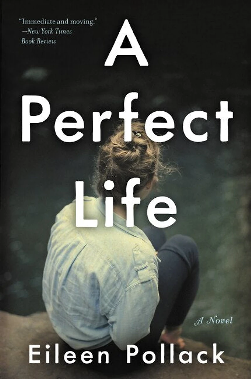 A Perfect Life: Novel