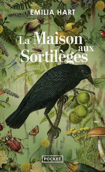 La maison aux sortileges