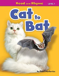 Cat to Bat