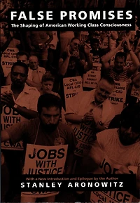 False Promises: The Shaping of American Working Class Consciousness