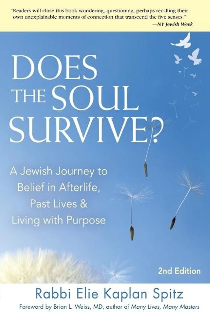 Does The Soul Survive? (2nd Edition): A Jewish Journey To Belief Afterlife, Past Lives & Living With Purpose