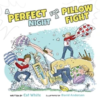 a Perfect Night for Pillow Fight