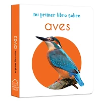My First Board Books Birds - Spanish