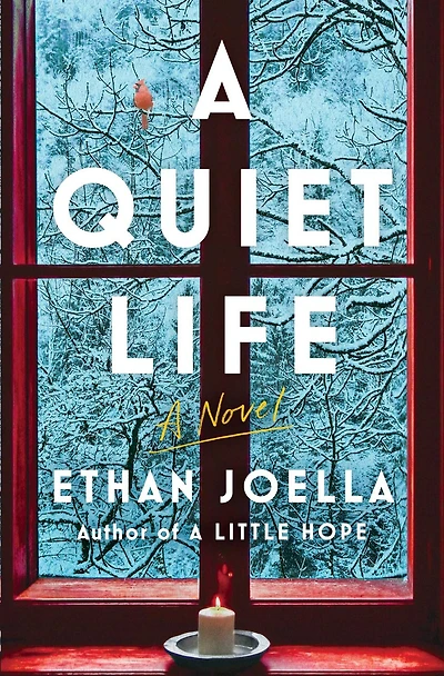 A Quiet Life: Novel