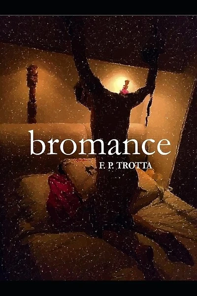 Bromance: An Erotic & True Crime Story