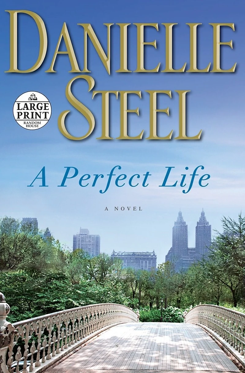 A Perfect Life: Novel