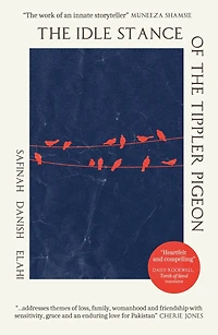 The Idle Stance of the Tippler Pigeon