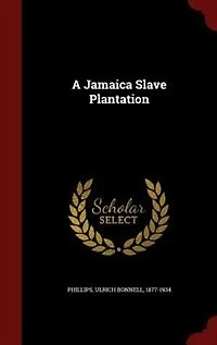 A Jamaica Slave Plantation