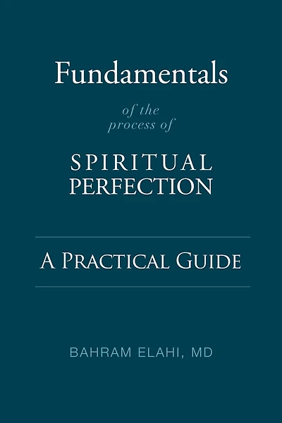 Fundamentals Of The Process Of Spiritual Perfection: A Practical Guide