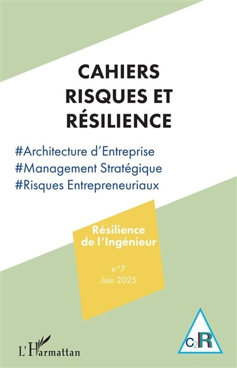 Résilience de l’Ingénieur: Architecture d’Entreprise