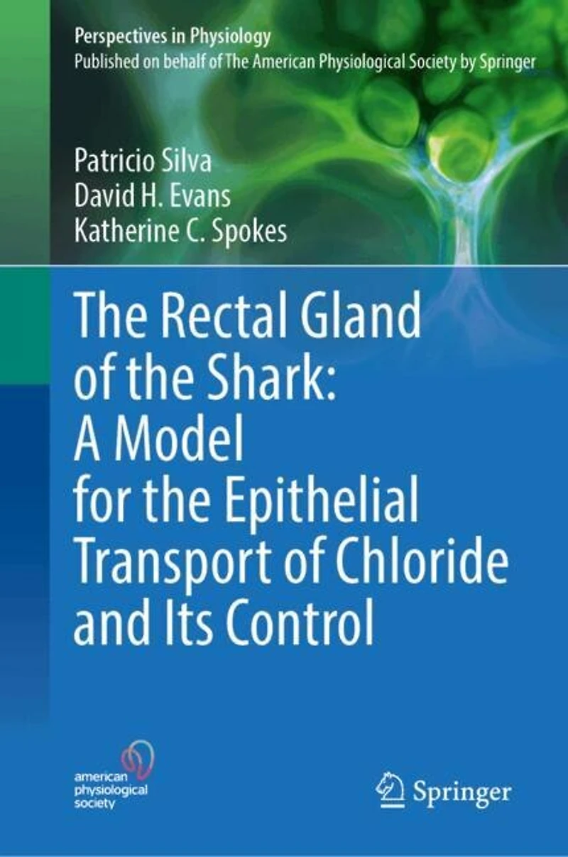 the Rectal Gland of Shark: A Model for Epithelial Transport Chloride and Its Control