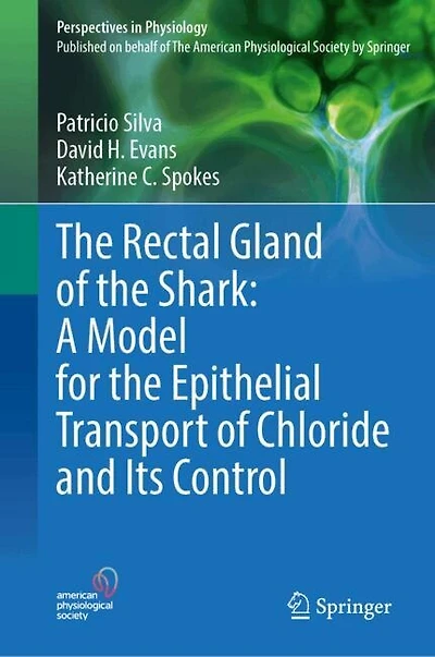 the Rectal Gland of Shark: A Model for Epithelial Transport Chloride and Its Control