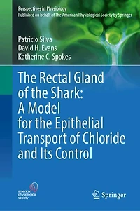 the Rectal Gland of Shark: A Model for Epithelial Transport Chloride and Its Control