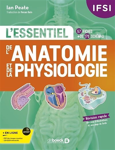 IFSI - L'essentiel de l’anatomie et de la physiologie humaines en fiches: 57 fiches - Plus de 170 illustrations