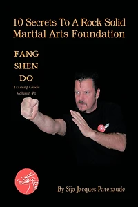10 Secrets To A Rock Solid Martial Arts Foundation: Fang Shen Do Training Guide Volume #1