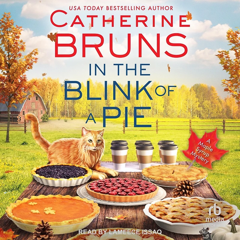 the Blink of a Pie