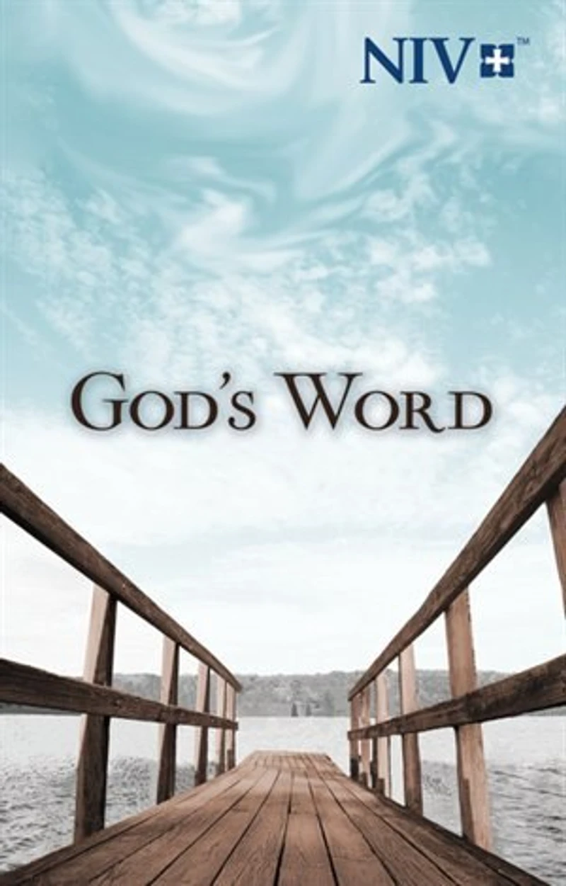Niv, Holy Bible, Larger Print, Paperback