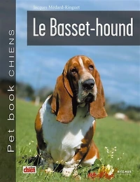 Le basset-hound
