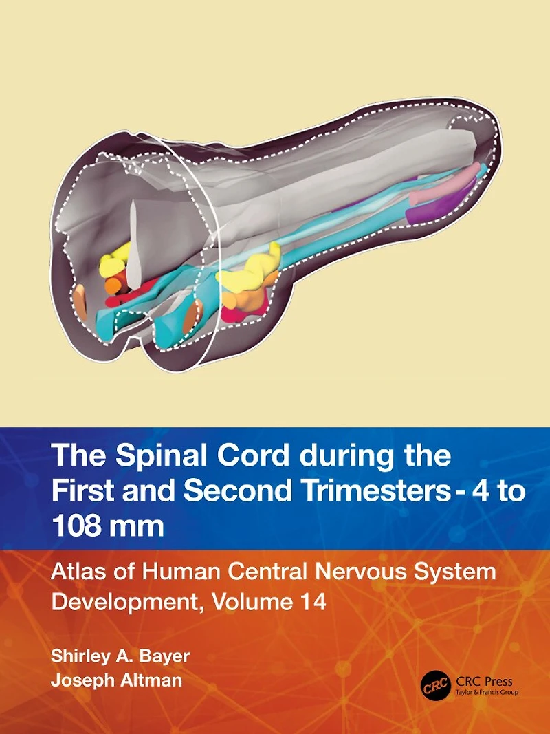 the Spinal Cord during First and Early Second Trimesters 4- to 108-mm Crown-Rump Lengths: Atlas of Human Central Nervous System Development, Volume 14