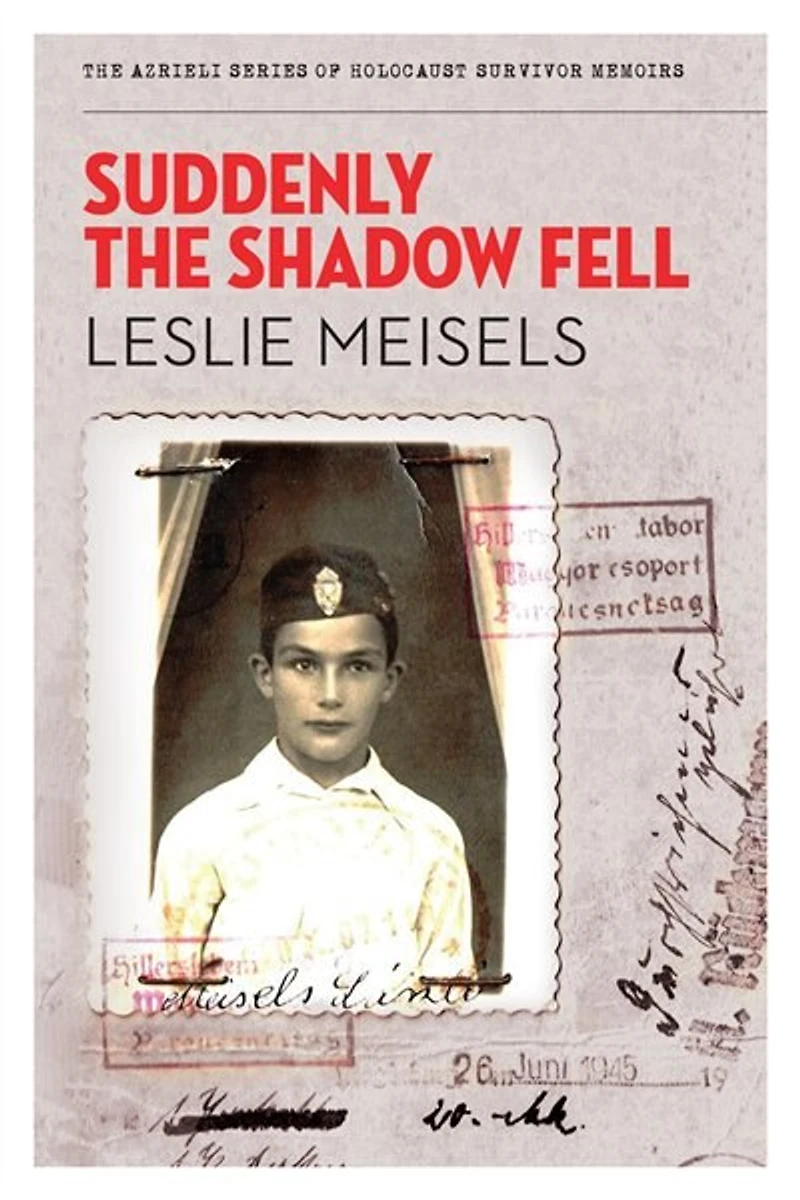 SUDDENLY THE SHADOW FELL