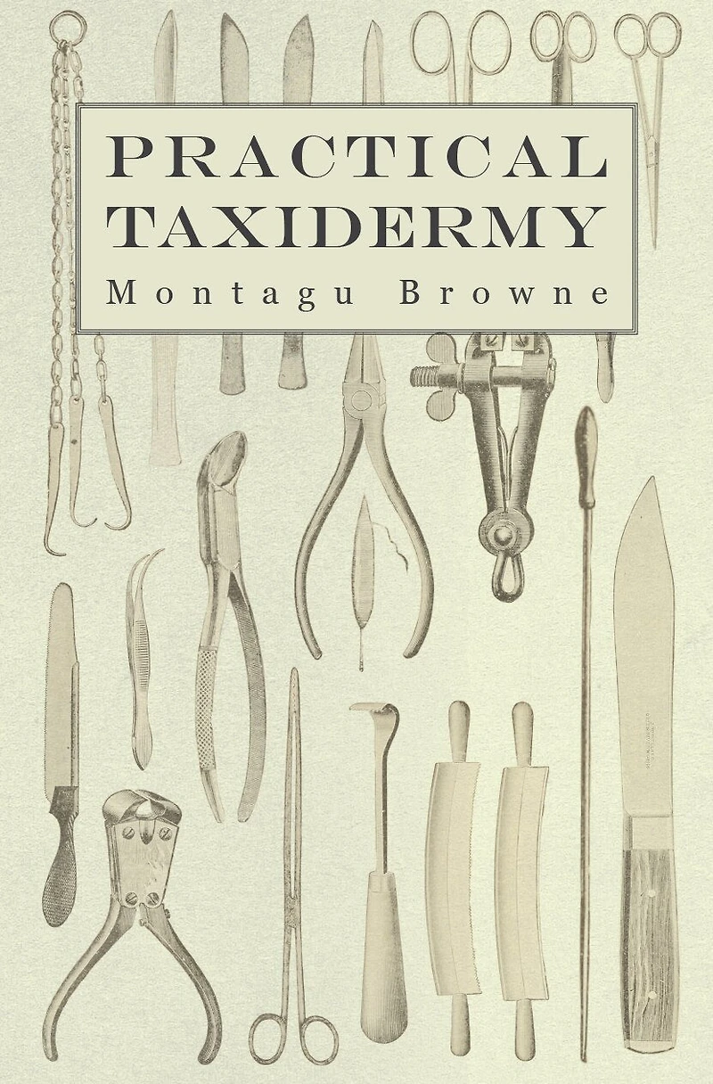 Practical Taxidermy: a Manual of Instruction To the Amateur Collecting, Preserving, and Setting up Natural History Specimens All Kinds. Which is Added Chapter Upon Pictorial Arrangement Museums