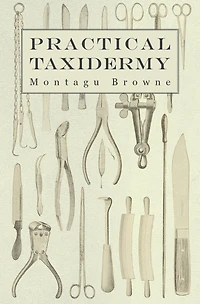 Practical Taxidermy: a Manual of Instruction To the Amateur Collecting, Preserving, and Setting up Natural History Specimens All Kinds. Which is Added Chapter Upon Pictorial Arrangement Museums