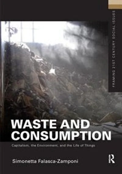 Waste And Consumption: Capitalism, The Environment, Life Of Things